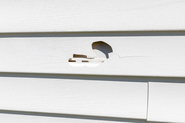 Siding Removal and Disposal in Mayo, FL